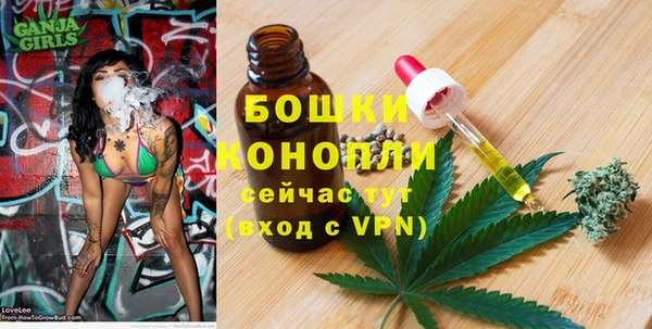прущие крисы Белокуриха
