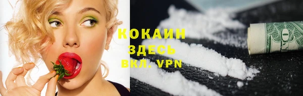 прущие крисы Белокуриха
