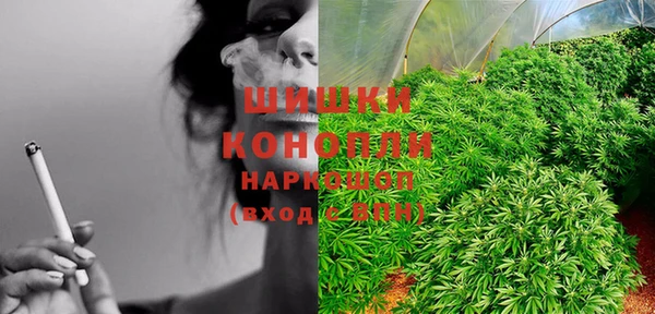 прущие крисы Белокуриха