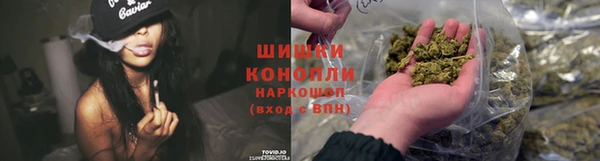 прущие крисы Белокуриха