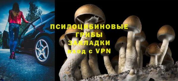 прущие крисы Белокуриха